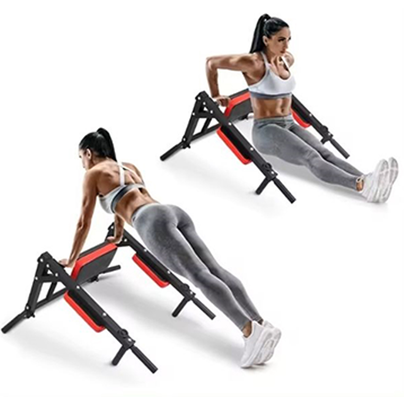 Heavy Duty Wall Mounted Parall - đánh giá và giá Pull Up Bar